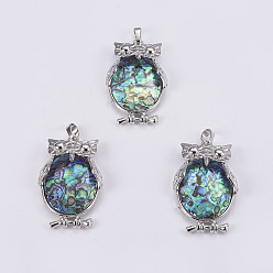 Раковина Кулон с панцирем, с латунной заготовкой из платины, сова, 43x27x9~10.5 мм, отверстие : 5x8 мм