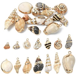 Mixed Color 14Pcs 14 Colors Electroplated Natural Mixed Shell Pendants, Shell Shape Charms, with Brass Findings, Golden, Mixed Color, 12.5~46x8~20x5~16mm, Hole: 1.2~1.8mm, 1pc/style