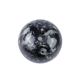 Ископаемое Ископаемый хрустальный шар из натуральной оболочки, Украшения из энергетического камня Рейки для исцеления, медитация, колдовство, 70~80 мм