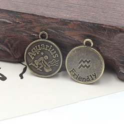 Водолей Подвески в тибетском стиле , плоские круглые с двенадцати созвездий, античная бронза, Водолей, 19 мм