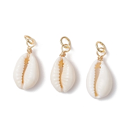 Белый Подвески из натуральной каури, с круглыми петлями из медной ювелирной проволоки, золотые, белые, 19.5~20.5x9.5~10.5x5.5 мм, отверстие : 3.5 мм