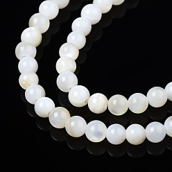 Ghost White Natural Freshwater Shell Beads Strands, Dyed, Round, Ghost White, 2.5mm, Hole: 0.5mm, about 122~136pcs/strand, 14.57 inch~15.63 inch(37cm~39.7cm)