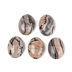 Фора Кабошоны из натурального камня, овальные, оранжевые, 25x18~18.5x8~8.5 мм