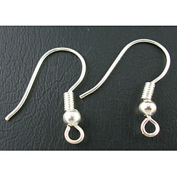 Silver Iron Earring Hooks, with Horizontal Loop, Cadmium Free & Nickel Free & Lead Free, Silver, 17~19x0.8mm, Hole: 2mm, 22 Gauge, Pin: 0.6mm