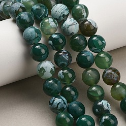 Dark Green Natural Fire Crackle Agate(Dyed & Heated) Beads Strands, Smooth Round, Dark Green, 12mm, Hole: 1.3mm, about 33pcs/strand, 15.55''(39.5cm)
