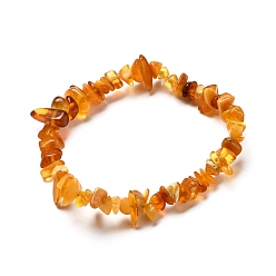 Amber Natural Amber Chip Beads Stretch Bracelet for Kid, Inner Diameter: 1-3/4 inch(4.5cm)