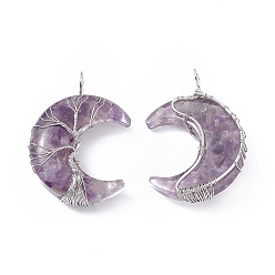 Аметист Большие подвески из медной проволоки с чипом натурального аметиста, Луна прелести, cmолой, платина, 51.5x36x15 мм, отверстие : 5 мм