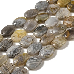Бамбуковые Листья Агат Природные бамбуковых листьев агат бисер нитей, Плоско-овальные, 16x12~12.5x4.5~5 мм, отверстие : 1 мм, около 25 шт / нитка, 15.35~15.47'' (39~39.3 см)