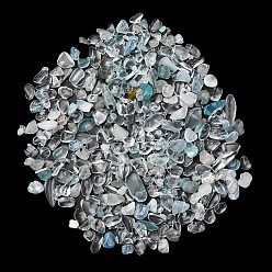 Аквамарин Натуральные аквамариновые чипсы, нет отверстий / незавершенного, 2~12x2~10x1~3 мм