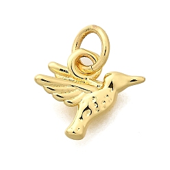 Настоящее золото 18K Латунь прелести, колибри, стойки покрытие, долговечный, без свинца и без кадмия, с целью перехода в кольце, реальный 18 k позолоченный, 9.5x11x2 мм, отверстие : 3 мм