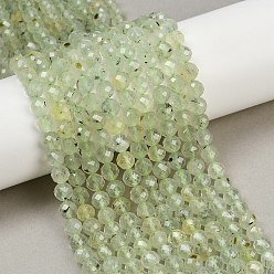 Пренит Природные пренит нитей бисера, круглые, граненые, 6~6.5 мм, отверстие : 0.9 мм, около 60~61 шт / нитка, 14.76~15.04'' (37.5~38.2 см)