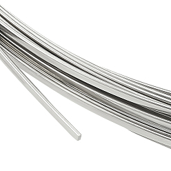 Edelstahl Farbe 304 Edelstahldraht, Wohnung, Edelstahl Farbe, 2x1 mm, ca. 22.97 Fuß (7 m)/Bündel