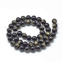 Golden Sheen Obsidian Natural Golden Sheen Obsidian Beads Strands, Grade A, Round, 16mm, Hole: 2mm, about 24pcs/strand, 14.96 inch(38cm)