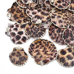 Coconut Brown Spray Paint & Electroplate Sea Shell Pendants, with Iron Findings, Light Gold, Coconut Brown, 41~55x33~53x3~7mm, Hole: 2mm