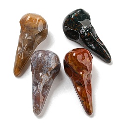 Indian Agate Natural Indian Agate Pendants, Bird Head Skull Charms, 47~49x20~22x20~22mm, Hole: 2~2.5mm