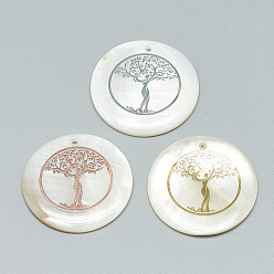 Mixed Color Freshwater Shell Pendants, Covered with Iron Findings, Flat Round with Tree of Life, Mixed Color, 30~31x2~3mm, Hole: 1.8mm