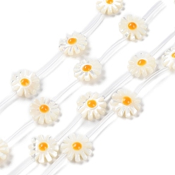 Золотистый Натуральные бусины из ракушек трохуса, с эмалью, цветок ромашка, золотые, 12x12x4.5 мм, отверстие : 0.8 мм, около 15 шт / нитка, 15.43'' (39.2 см)