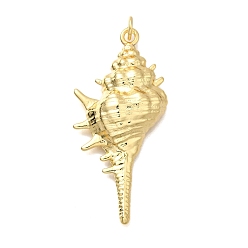 Настоящее золото 18K Латунные подвески, форма раковины, с целью перехода в кольце, реальный 18 k позолоченный, 40.5x19x6.5 мм, отверстие : 3.5 мм