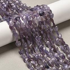 Лепидолит Натуральный лепидолит / пурпурный слюдяный камень бисер пряди, сердце, 5.5x6~6.5x2.5~3 мм, отверстие : 0.7 мм, около 69~72 шт / нитка, 14.88~15.2 (37.8~38.6 см)