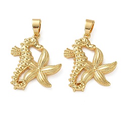 Настоящее золото 18K Латунные подвески, обереги в виде морского конька и морской рыбы, реальный 18 k позолоченный, 24.5x20x3 мм, отверстие : 3.5x5 мм