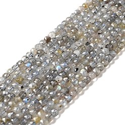Лабрадорита Природные лабрадорита бисер нитей, граненые, кубические, 4x4x4 мм, отверстие : 0.6 мм, около 96 шт / нитка, 15.24'' (38.7 см)