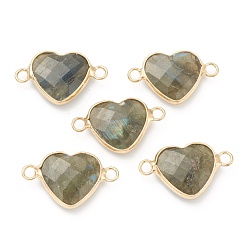 Labradorite Natural Labradorite Links, with Golden Brass Edges, Heart, Undyed, 26x16x5.5mm, Hole: 2mm
