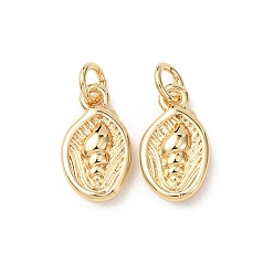 Настоящее золото 18K Латунные подвески, раковины прелести, без кадмия и без свинца, стойки покрытие, долговечный, с целью перехода в кольце, реальный 18 k позолоченный, 12x6.5x3 мм, отверстие : 2.3 мм