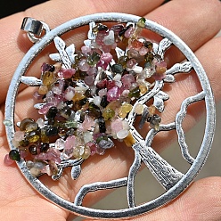 Турмалин Природного турмалина подвески, со сплавочной фурнитурой, плоско-круглые, 62x56 мм