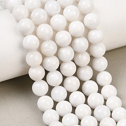 Rainbow Moonstone Бусины из натурального радужного лунного камня, круглые, белые, 8 мм, отверстие : 1 мм, около 22 шт / нитка, 7.60'' (19.3 см)