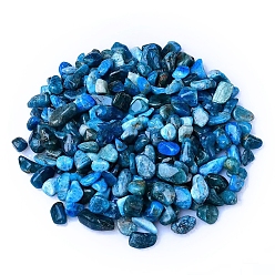 Апатит Натуральный апатит измельченные чипсы, для проектов домашнего рукоделия и украшения цветочных горшков, аквариумов, 3~5 мм, около 100 г / набор