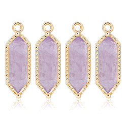 Аметист 4шт. шестиугольные граненые подвески из натурального аметиста, с латунной фурнитурой , золотые, 21.5x6.5x4.5 мм, отверстие : 1.5 мм