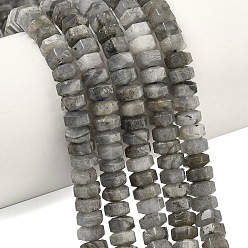 Лабрадорита Природные лабрадорита бисер нитей, шестиугольные бусины хейши, 6x7x3.5 мм, отверстие : 0.9 мм, около 108~109 шт / нитка, 14.96~15.04'' (38~38.2 см)