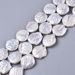 Морская Ракушка Натуральный жемчуг в стиле барокко, культивированный пресноводный жемчуг, плоско-круглые, цвет морской раковины, 20~22x5~8 мм, отверстие : 0.8 мм, около 16~17 шт / нитка, 14.96 дюйм (38 см)