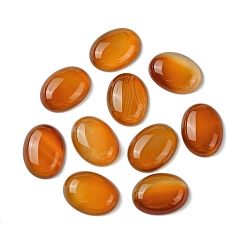 Сэнди Коричневый Натуральный красный агат кабошонов, окрашенная и подогревом, овальные, песчаный коричневый, 20x15x5 мм
