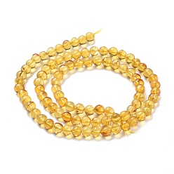 Ambre Perles d'ambre naturel brins, ronde, 5~5.5mm, Trou: 0.5mm, Environ 88 pcs/chapelet, 15.75 pouce (40 cm)