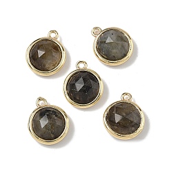 Лабрадорита Плоские круглые ограненные подвески из натурального лабрадорита, с латунными накладками на стойку, долговечный, золотые, 14.5x12x5.5 мм, отверстие : 1.4 мм