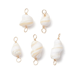 Light Gold Подвески из натуральной раковины, с медной проволокой, Ссылки в форме ракушки, золотой свет, 19~27x8~10x8~10 мм, отверстие : 3 мм