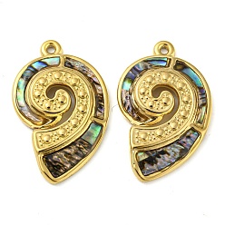 Раковина Природные пауа оболочки подвески, подвески-раковины с ионным покрытием(ip) 304 фурнитура из нержавеющей стали, реальный 18 k позолоченный, 27.5x17x2 мм, отверстие : 1.3 мм