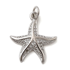 Платина Латунные микро проложить кубического циркония подвески, морская звезда, долговечный, стойки покрытие, без свинца и без кадмия, с целью перехода в кольце, платина, 20.5x18.5x3 мм