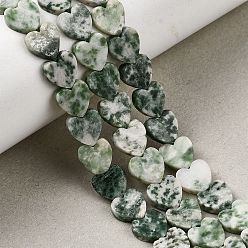 Камень с Зелеными Точками Натуральные зеленые пятна яшмовых нитей, сердце, 8x8x2.5 мм, отверстие : 0.6 мм, около 50 шт / нитка, 14.88''~15.12'' (37.8~38.4 см)