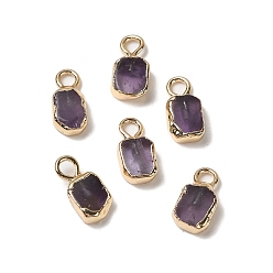 Аметист Прямоугольные подвески из натурального аметиста, с золотым оттенком латуни, 9.5x5x2.5 мм, отверстие : 2 мм