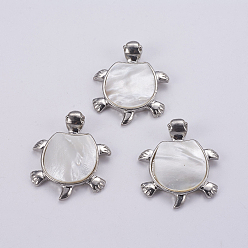 Белые Ракушки Натуральная белая ракушка перламутр, с латунной заготовкой из платины, черепаха, 42.5x34.5x5~6.5 мм, отверстие : 4.5x7 мм