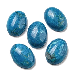 Говлит Природные кабошонов Говлит, овальные, окрашенные, 18x13x5~5.5 мм