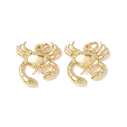 Краб Латунные подвески, морские животные амулеты, без кадмия и без свинца, стойки покрытие, долговечный, с целью перехода в кольце, краб, 17x16.5x3 мм, отверстие : 3 мм