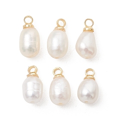 Золотой Подвески из натурального пресноводного жемчуга, рисовые амулеты с латунными креплениями, белые, золотые, 9.5~11x5~5.5 мм, отверстие : 1.4~1.6 мм