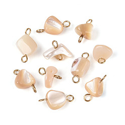 Настоящее золото 18K Подвески-соединители из натуральных ракушек, с 304 двойными петлями из нержавеющей стали, песчаный коричневый, ионное покрытие (ip), реальный 18 k позолоченный, 11~15.5x7~12x3.5~12 мм, отверстие : 1.5~2.2 мм