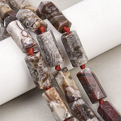 Сумасшедший Агат Натуральные мексиканские бусины из агата «Crazy Lace», полиэдральная колонна, граненые, 22~23x11~11.5x10 мм, отверстие : 1 мм, около 16 шт / нитка, 16.93'' (43 см)