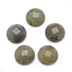 Labradorit Natur Labradorit Cabochons, facettiert, Halbrund, 14~14.5x5 mm
