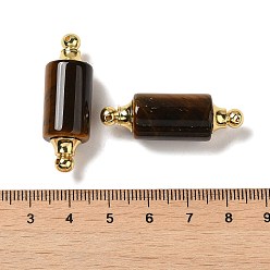 Tiger Eye Natural Tiger Eye Connector Charms, with Golden Plated 304 Stainless Steel Findings, Column Links, 36x12mm, Hole: 1.2~1.4mm