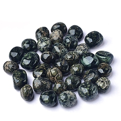 Яшма Камбаба Натуральный камбаба яшма имитация гальки орнамент, для аквариума, пруд, карликовое дерево, сад, путь, бассейн, 20~30 мм